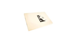 Smooth Ivory Wove A4 100gsm 300 sheets short grain ODDMENT