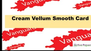 Vanguard Cream Vellum Card 300gsm 12x24 inch